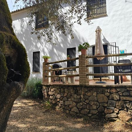 Casa Rural Alicia Кортегана Экстерьер фото