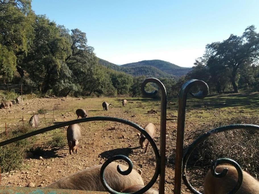 Casa Rural Alicia Кортегана Экстерьер фото